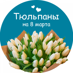 Купить тюльпаны в Новоузенске